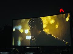 -枫花园汽车电影院(朝阳公园店)