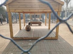 -长白岛森林公园