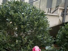 -柏斯音乐艺术中心·钢琴·吉他(上音店)