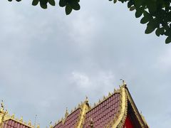 -西双版纳傣族园