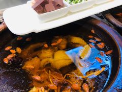 -東大方(安吉灵芝店)