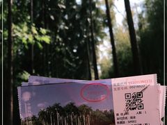 -中国科学院西双版纳热带植物园