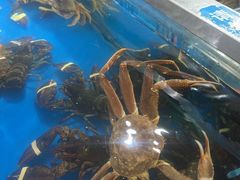 -盒马鲜生(悦峰店)