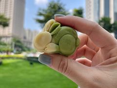 -1828王老吉·草本新茶(珠江新城地铁站店)