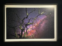 -罗红摄影艺术馆