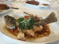 -至潮餐厅精致粤菜·活鲈鱼·走地鸡(珠江新城店)