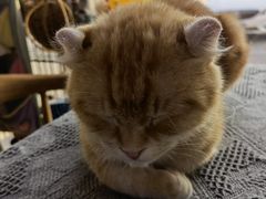 -平行世界·猫咖(首经贸店)