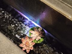 -沐泷泉(南风大剧院店)