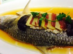 清蒸鲥鱼-圆苑(上海广场店)