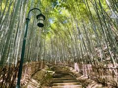 -杭州黄龙洞