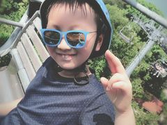 -圣淘沙天际线斜坡滑车