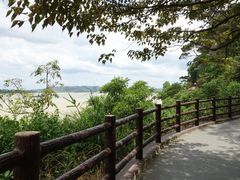 景点-羚羊峡古栈道森林公园