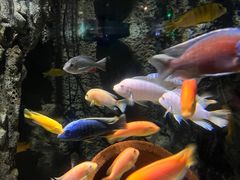 -太平洋海底世界