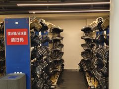 -世界之窗阿尔卑斯冰雪世界