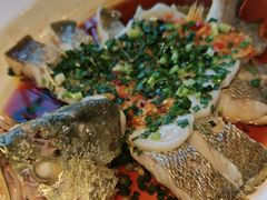 -大鸽饭(马王堆店)