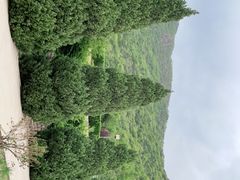 -北京十三陵国家森林公园蟒山景区