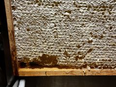 -利顺德大饭店·1863别致西餐厅(小白楼店)