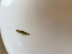 -阿一鲍鱼·20年匠心传承(天河北旗舰店)