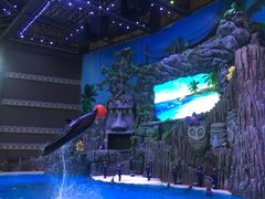 -喷泉广场餐厅·宵夜·海鲜烧烤大排档(长隆企鹅酒店)