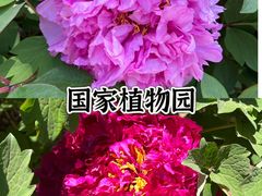 -运动派(北京店)