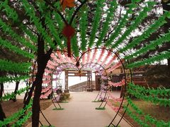 -北海金海湾红树林生态旅游区