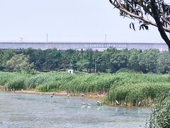 -绿堤公园