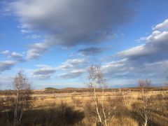 -塞罕坝国家级自然保护区