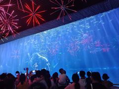 -西安华夏文旅水世界