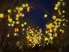 -长春世界雕塑园冰雪艺术天地