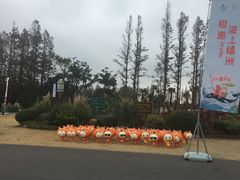 -上海长兴岛郊野公园