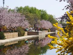 -海棠花溪(元大都城垣遗址公园)