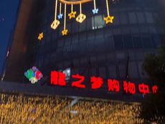 -上海龙之梦万丽酒店