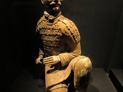 -陕西历史博物馆