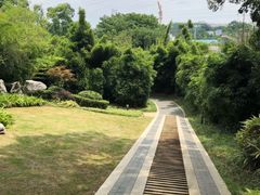 -菊花台公园