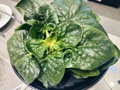 -海底捞火锅(王府井银泰in88店)