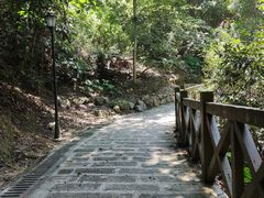 -广州市流溪河国家森林公园