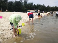 -北海金海湾红树林生态旅游区