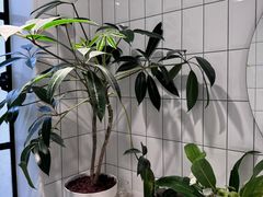 -一尺花园(安和花园店)