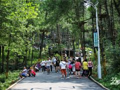 -梦幻奥陶纪景区