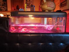 -爱德堡西餐咖啡吧(北师大店)