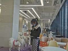 -怪兽屋·羊驼·猫咖·狗咖(俊华广场店)