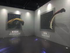 -天津自然博物馆