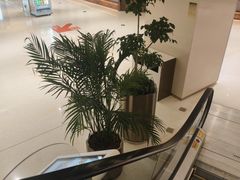 -大世界影城(无锡江南大悦城IMAX激光店)