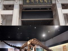 -衢州市博物馆