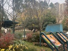 -成都动物园
