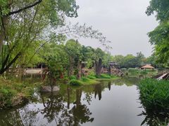 -黄龙溪古镇