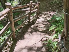 -王顺山国家森林公园