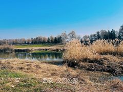 -洨河生态公园