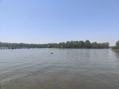 -白洋淀风景区
