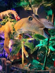 点击看大图 -恐龙探索乐园(磁器口店)